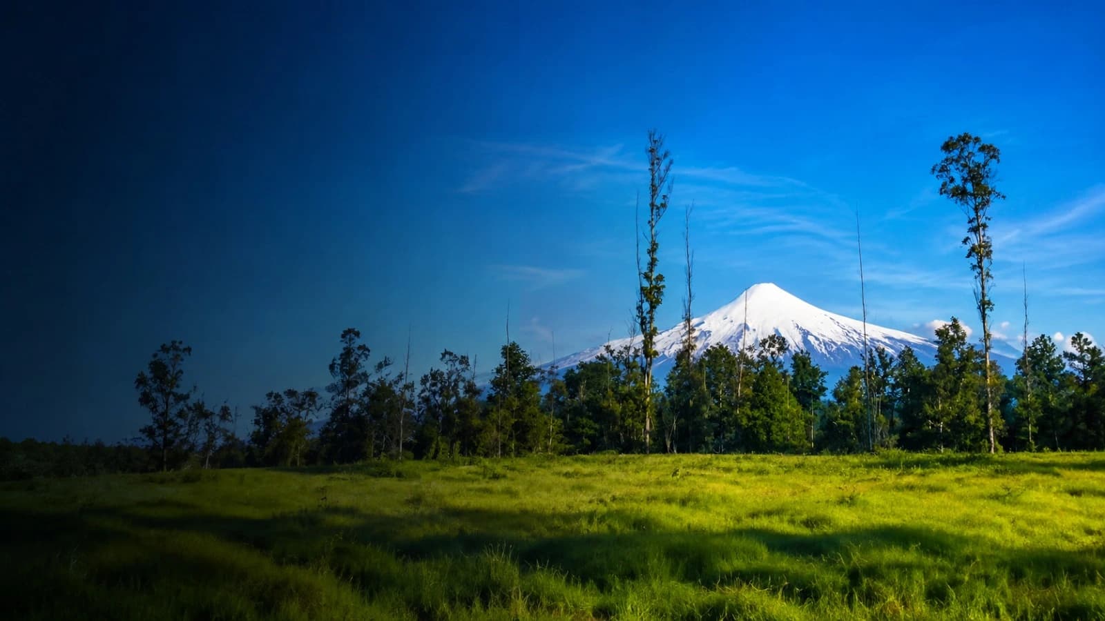 Parcela en el sur de Chile al atardecer